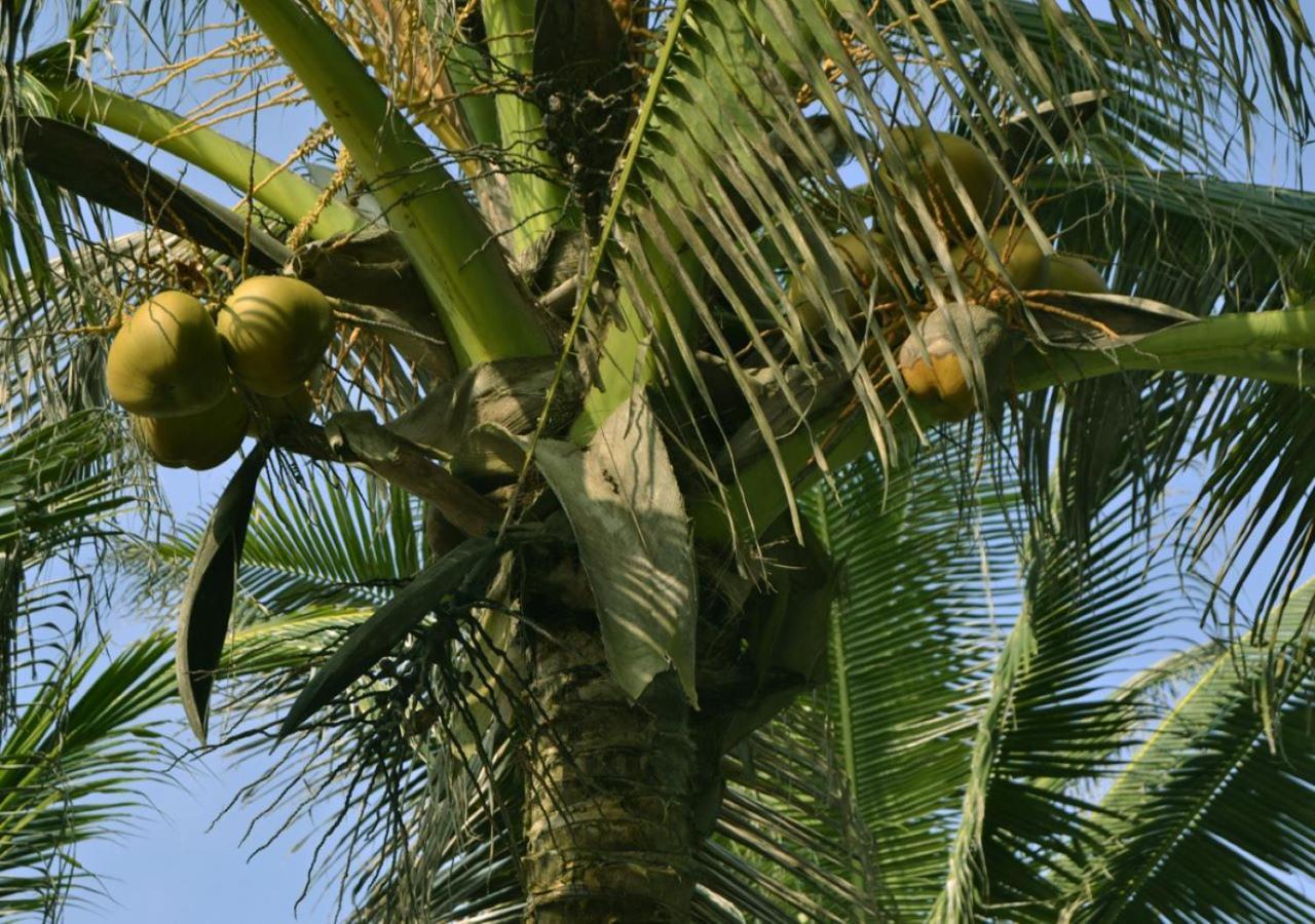 Cocobeach-Hotel Lomé Kültér fotó